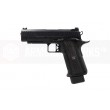 EMG / Salient Arms International™ 2011 DS Pistol (4.3 / Steel)